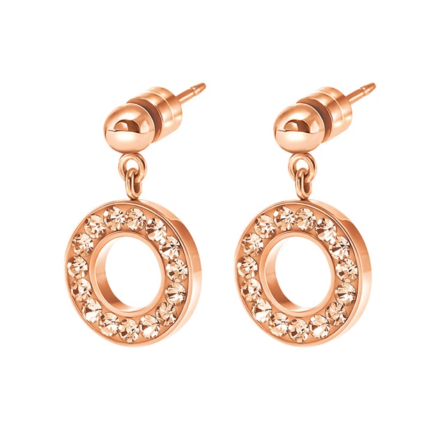 Image of  CLASSY EARRINGS